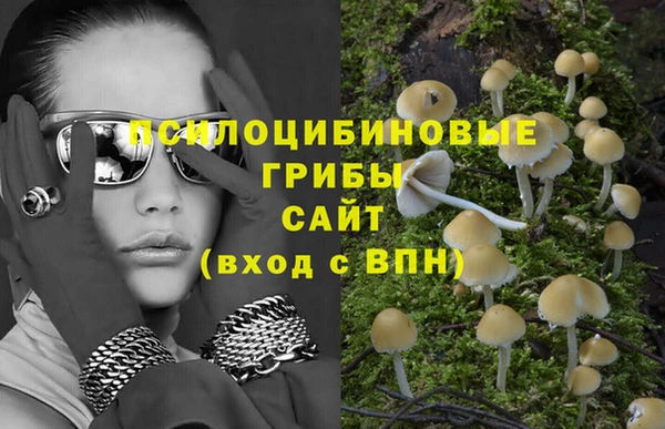 СК Армянск