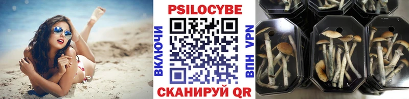 Галлюциногенные грибы мухоморы  Малгобек 